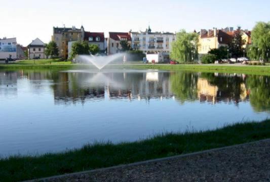 Apartament Green Mrągowo-Mazury,blisko plaża, centrum! Wi-fi! Zewnętrze zdjęcie