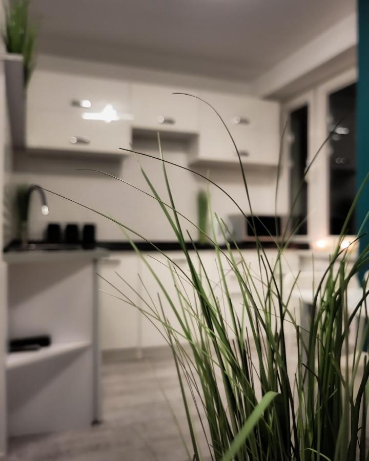 Apartament Green Mrągowo-Mazury,blisko plaża, centrum! Wi-fi! Zewnętrze zdjęcie